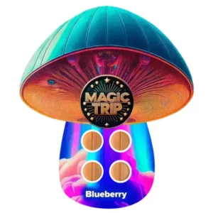 magic trip magic mushroom tablets blue berry